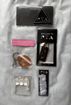 Perfume P.T.A. 特典 8点