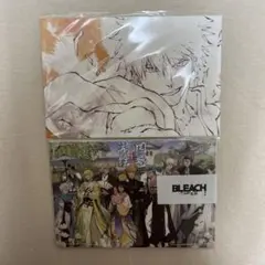 BLEACH カード ファイル　非売品 2025年最新】bleach ファイルの人気アイテム - メルカリ