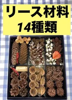 最終値下げ・リース材料14種類まとめ売り・木の実盛りだくさんセット