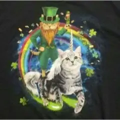USA直輸入 古着 フルーツオブザルーム 猫 Tシャツ