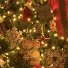 みーさん様　専用