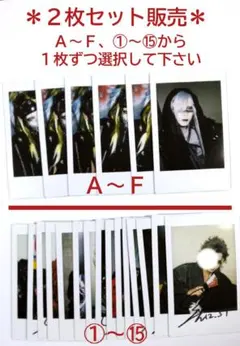 XANVALA巽さんチェキ２枚セット(選択制)