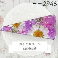 asahina様おまとめページ 【⠀H－2946】