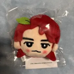 Mrs. GREEN APPLE 若井滉斗 韓国ライブ キーホルダー - メルカリ