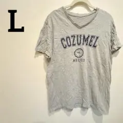 一点物✨ Vネック Tシャツ メンズ グレー 半袖 プリント シンプル 夏