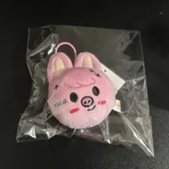 straykids チャンビン KARMA popup ネームタグ 新品未開封