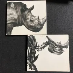 Mr.Children ベストアルバム 肉と骨 2枚セット - メルカリ