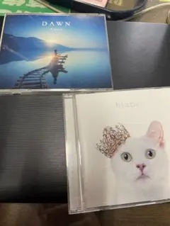 Aimer CD 2枚セット DAWN blanc