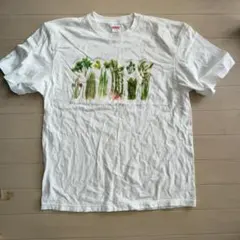 中古 山菜Tシャツ XLサイズ