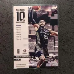 Bリーグ リアルカード コレクション アンソニー・ゲインズ・ジュニア