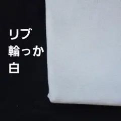 Item thumbnail for item 0edd16be-1c07-4c7e-bb3f-67145a40fd9c