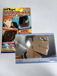 ハイキュー!! ミニクリアファイル2 田中龍之介