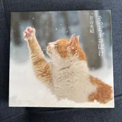 そっとネコぼけ