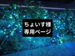 ちょいす様専用ページ