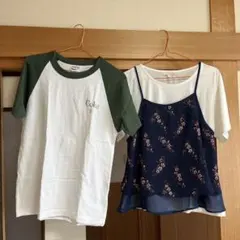 Item thumbnail for item e695fa98-defa-49f8-a6ec-e8fc7d8b90c7