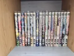 ドメスティックな彼女 全28巻セット 特装版7冊 流石景 - メルカリ