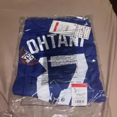 NIKE ドジャース　大谷翔平　Tシャツ　ブルー　Lサイズ