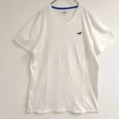 Hollister Vネック Tシャツ M ホワイト