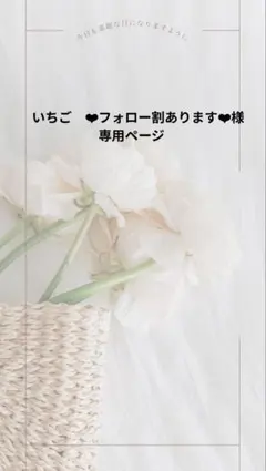 フォロー割あります❤︎様の専用ページです　( ⁎ᵕᴗᵕ⁎ )
