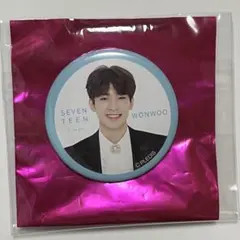 ウォヌ　缶バッジ　follow 2025年最新】Seventeen follow again ウォヌ 缶バッジの人気