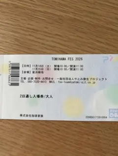 音楽フェス　弥富 TOMIHAMA FES 2026 2日通し入場券 大人