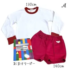 ᴬ【130-140 上下1セット】長袖 体操服セット SKY ACE