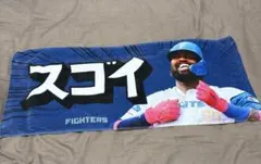 2025年最新】レイエス選手の人気アイテム - メルカリ