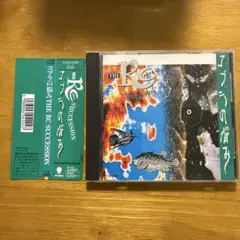 THE RC Succession コブラの悩み