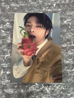 straykids スキズ　hollow アイエン　封入