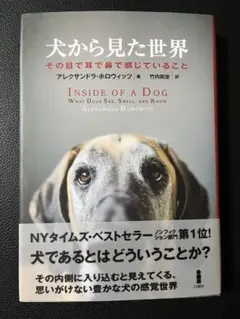 ころも様 リクエスト 2点 まとめ商品