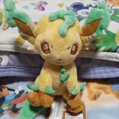 大幅値下げしました！ポケモンfit