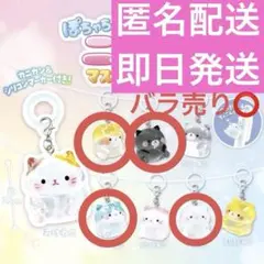 2026年最新】プロフ必読匿名配送めじるしアクセサリーの人気アイテム