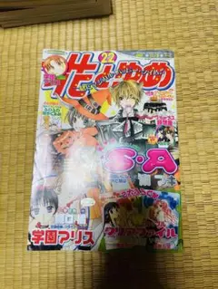 花とゆめ 2006年22号 雑誌 本誌 学園アリス スキップ・ビート