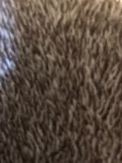 専用