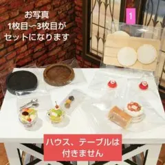 ③ミニチュア　フードセット