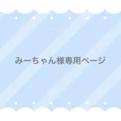 みーちゃん様 リクエスト 2点 まとめ商品
