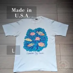 90s USA製 Crazy Shirts ハナウマ湾 魚柄 Tシャツ L 白のサムネイル