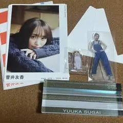欅坂46 菅井友香　マネパカード限定　アクリルスタンド 欅坂46 菅井友香 マネパカード限定 アクリルスタンド 櫻坂46 欅