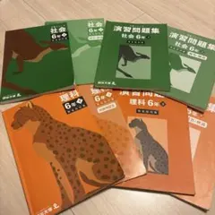 【ほぼ未使用】2025年度版 6年【下】四谷大塚 予習シリーズ 理科・社会