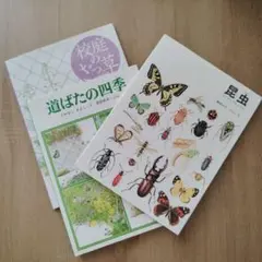 Item thumbnail for item d4d11660-7798-4782-a1db-257d977bf77b