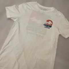 patagonia Pataloha Honolulu Tシャツ S ハワイ