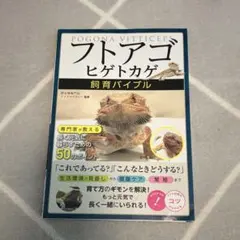 Item thumbnail for item 113a2d19-f793-4f89-977f-23da5b4b6960