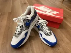 NIKE AIR MAX 1 PRNT atmos WE LOVE NIKE