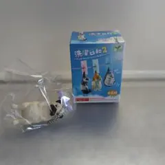 M275 洗濯日和2 パグ 未使用