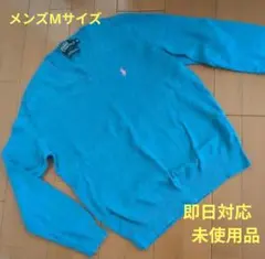【美品】ポロラルフローレンVネックセーター メンズ M ブルー系
