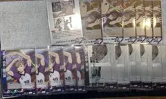 Item thumbnail for item fb1ec29b-478c-47d4-a346-c59e99cd041c