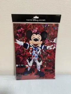 東京ディズニーリゾート ミッキーマウス クリアファイル A4サイズ
