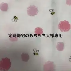 定時帰宅のもちもち犬様専用