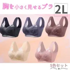 胸を小さく見せるブラ　シームレス 2L 着痩せ　美胸　ノンワイヤー　ナイトブラ