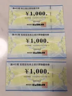 ビックカメラ　株主優待券　3000円分